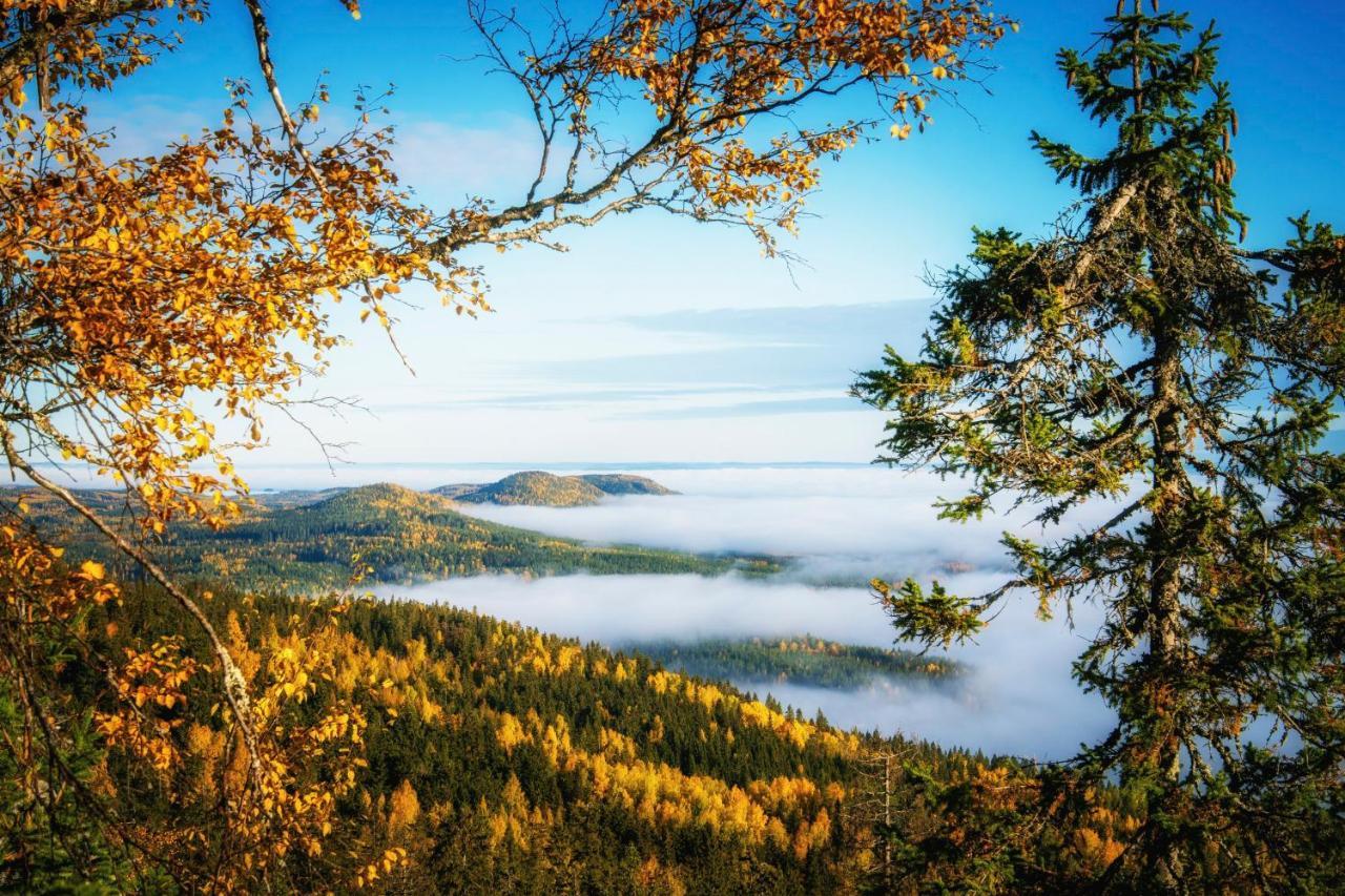 Break Sokos Hotel Koli Kylae 외부 사진